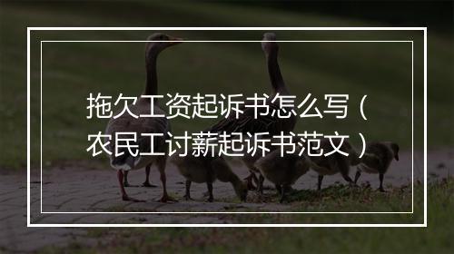 拖欠工资起诉书怎么写（农民工讨薪起诉书范文）