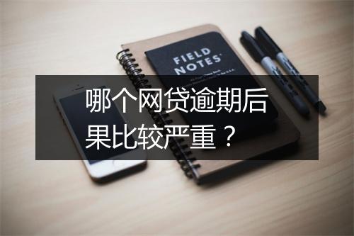 哪个网贷逾期后果比较严重？