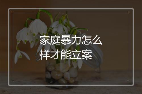 家庭暴力怎么样才能立案
