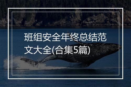 班组安全年终总结范文大全(合集5篇)