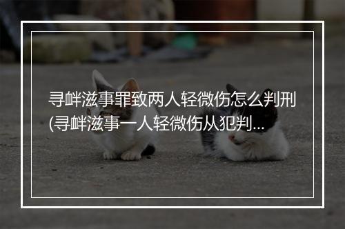 寻衅滋事罪致两人轻微伤怎么判刑(寻衅滋事一人轻微伤从犯判多久)