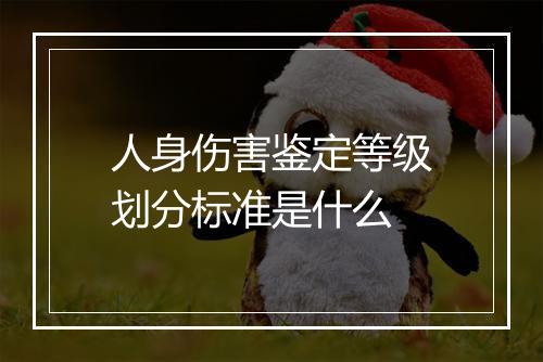 人身伤害鉴定等级划分标准是什么