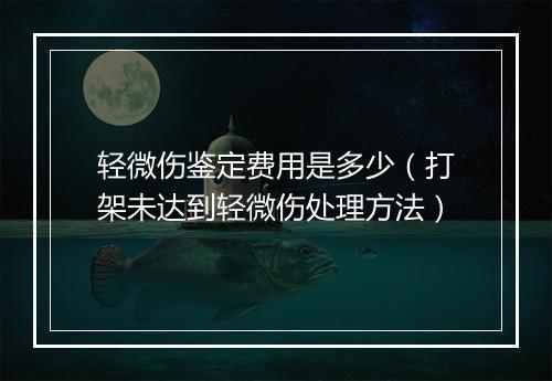 轻微伤鉴定费用是多少（打架未达到轻微伤处理方法）