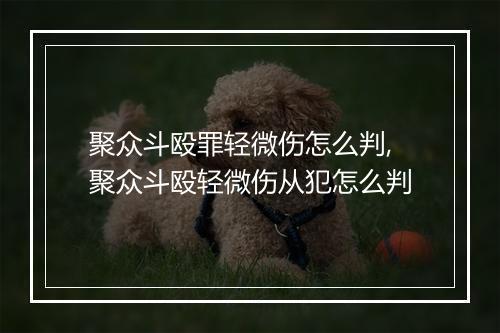 聚众斗殴罪轻微伤怎么判,聚众斗殴轻微伤从犯怎么判