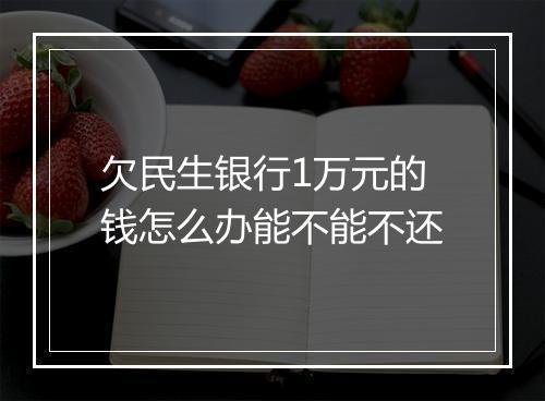 欠民生银行1万元的钱怎么办能不能不还