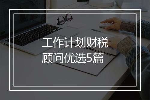 工作计划财税顾问优选5篇