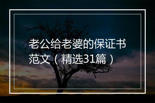 老公给老婆的保证书范文（精选31篇）