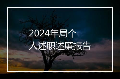 2024年局个人述职述廉报告