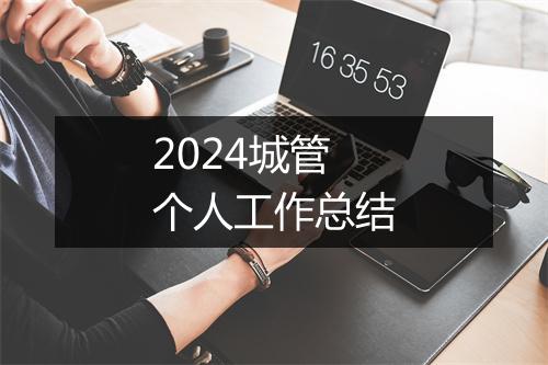 2024城管个人工作总结