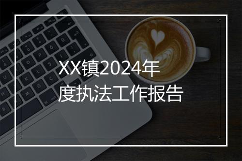 XX镇2024年度执法工作报告