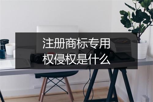 注册商标专用权侵权是什么