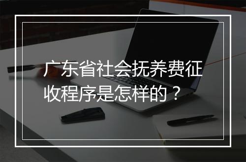 广东省社会抚养费征收程序是怎样的？