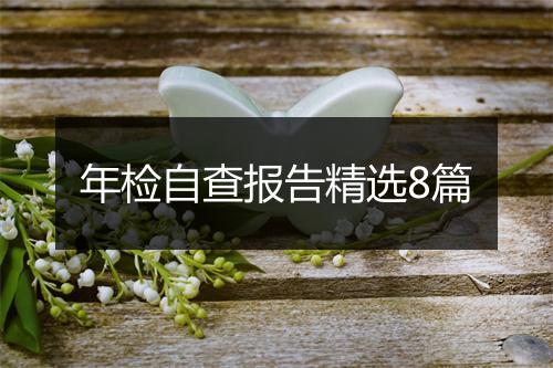 年检自查报告精选8篇