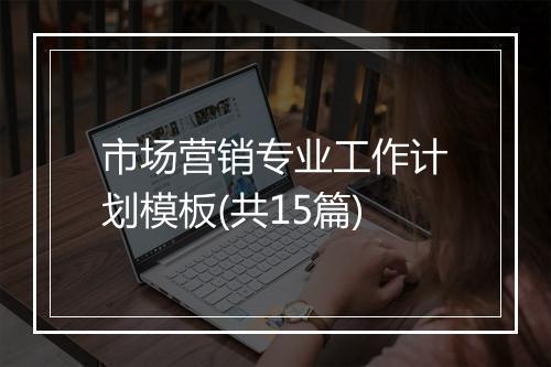 市场营销专业工作计划模板(共15篇)