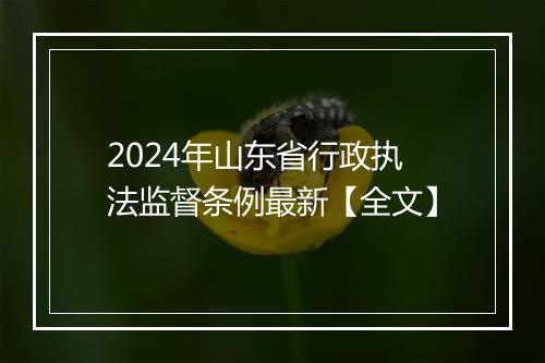 2024年山东省行政执法监督条例最新【全文】