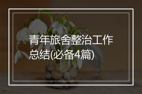 青年旅舍整治工作总结(必备4篇)