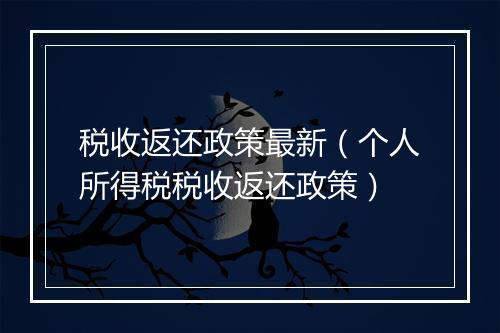 税收返还政策最新（个人所得税税收返还政策）