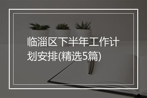 临淄区下半年工作计划安排(精选5篇)
