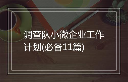 调查队小微企业工作计划(必备11篇)