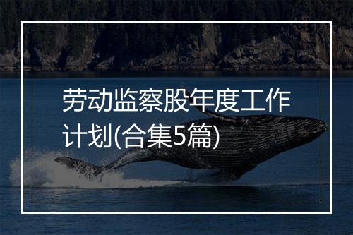 劳动监察股年度工作计划(合集5篇)