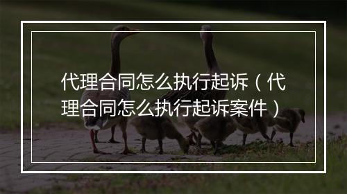 代理合同怎么执行起诉（代理合同怎么执行起诉案件）