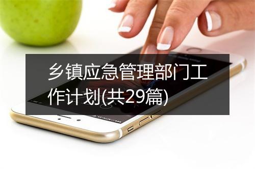 乡镇应急管理部门工作计划(共29篇)