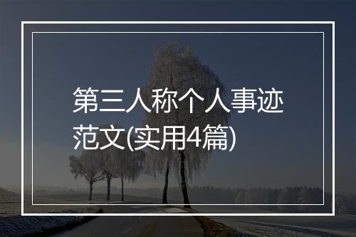 第三人称个人事迹范文(实用4篇)