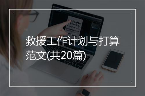 救援工作计划与打算范文(共20篇)