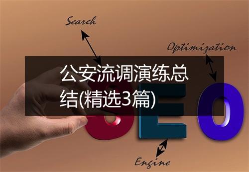 公安流调演练总结(精选3篇)