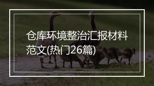 仓库环境整治汇报材料范文(热门26篇)