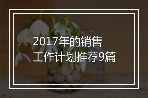 2017年的销售工作计划推荐9篇