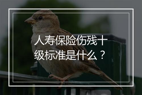 人寿保险伤残十级标准是什么？