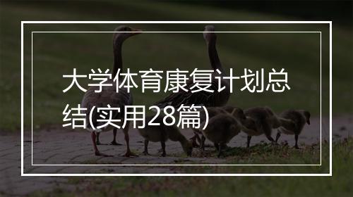 大学体育康复计划总结(实用28篇)