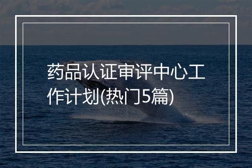 药品认证审评中心工作计划(热门5篇)