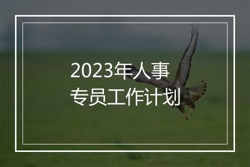 2023年人事专员工作计划