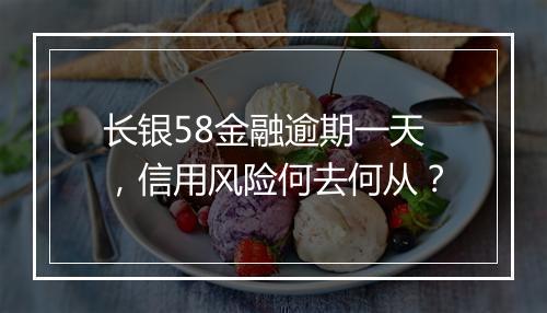 长银58金融逾期一天，信用风险何去何从？