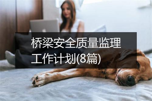 桥梁安全质量监理工作计划(8篇)
