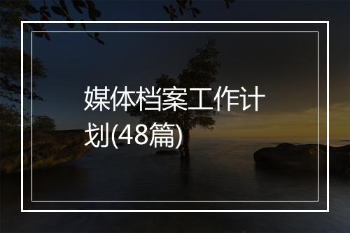 媒体档案工作计划(48篇)