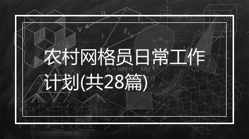 农村网格员日常工作计划(共28篇)