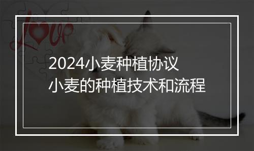 2024小麦种植协议 小麦的种植技术和流程