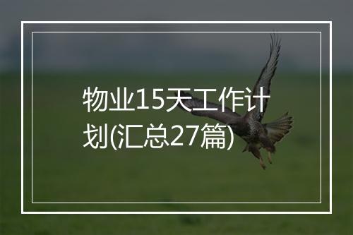 物业15天工作计划(汇总27篇)