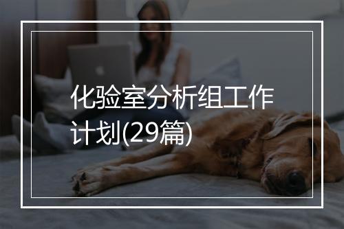 化验室分析组工作计划(29篇)