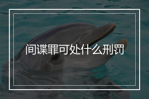 间谍罪可处什么刑罚