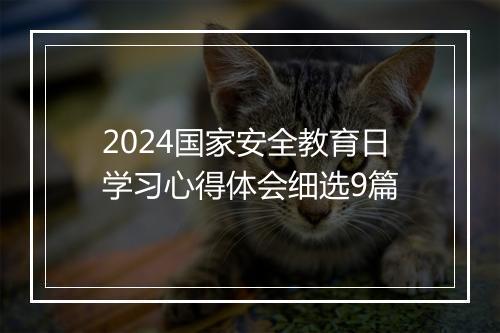 2024国家安全教育日学习心得体会细选9篇