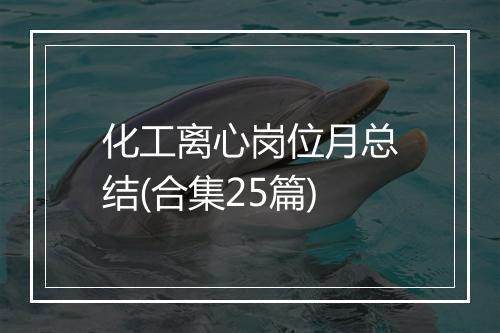 化工离心岗位月总结(合集25篇)