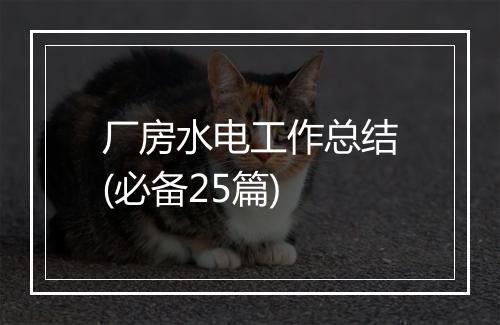 厂房水电工作总结(必备25篇)