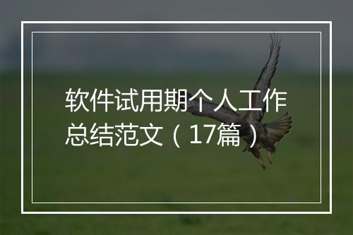 软件试用期个人工作总结范文（17篇）