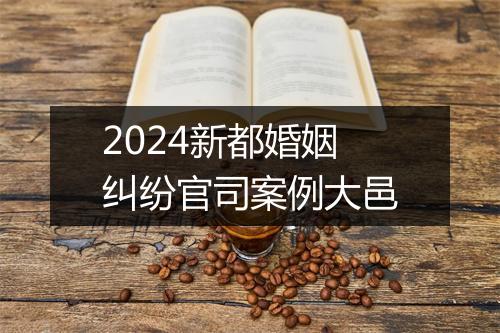 2024新都婚姻纠纷官司案例大邑