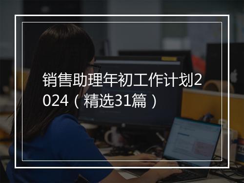 销售助理年初工作计划2024（精选31篇）