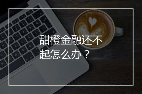 甜橙金融还不起怎么办？